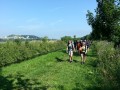 2013-07-18 10_44 002